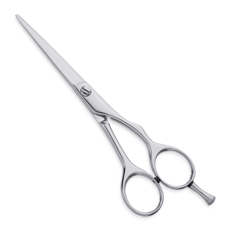 Professional Hair Cutting Scissors
